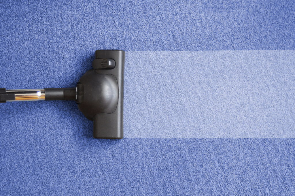 Palouse Carpet Cleaning Near Me | Cleaning A Carpet