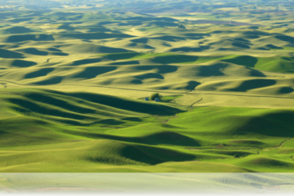 A Scenic photo of the Rolling Hills of the Palouse